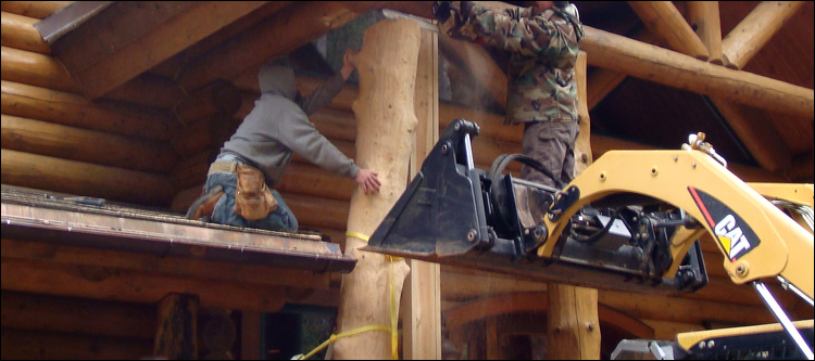 Log Home Log Replacement  Lucas County, Ohio